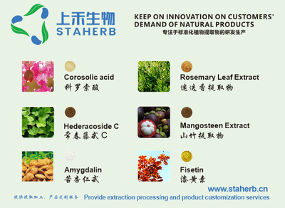 綠原酸 天然綠色的多面手，工業植物提取引領健康新未來